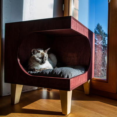 Modern Kedi Evi