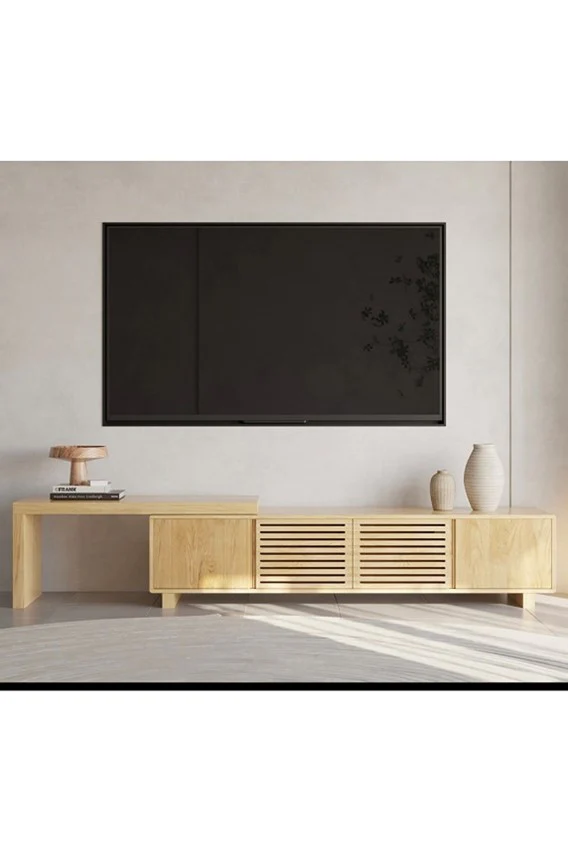 Alms TV Ünitesi